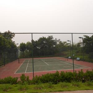 学校绿化养护